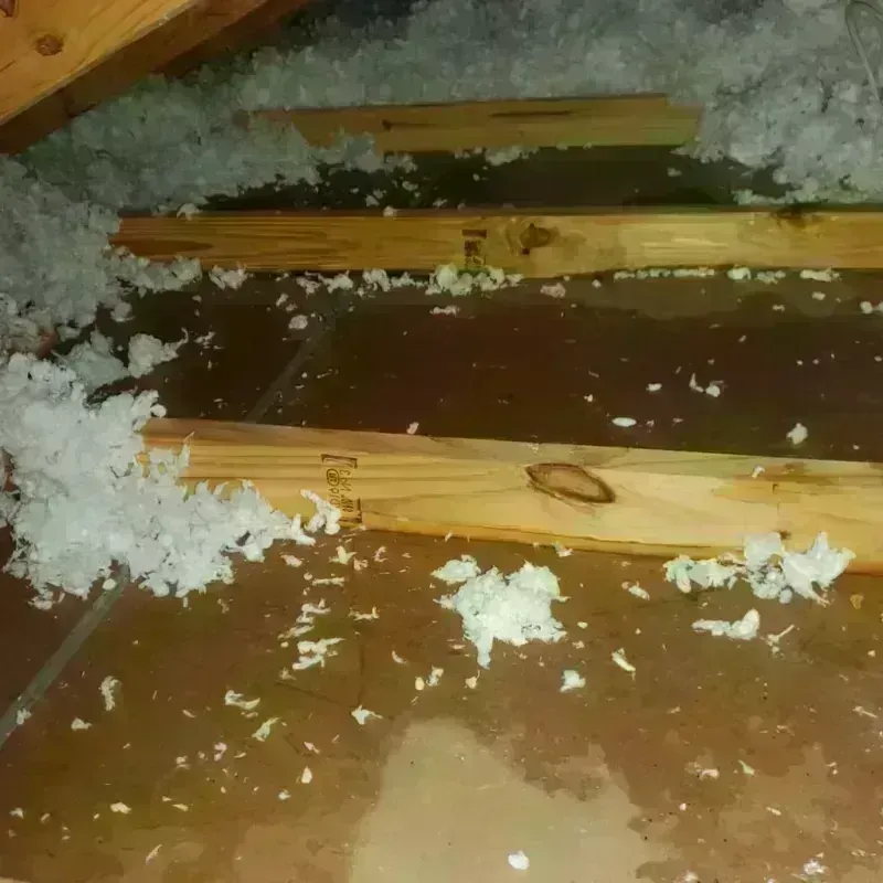 Attic Water Damage in Pinewood Estates, TX